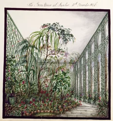 Das Gewächshaus in Aynhoe, 1846